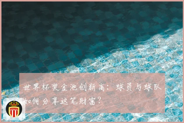 世界杯奖金池创新高:球员与球队如何分享这笔财富?
