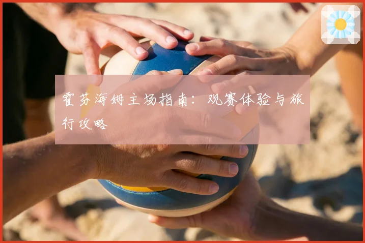 霍芬海姆主场指南:观赛体验与旅行攻略
