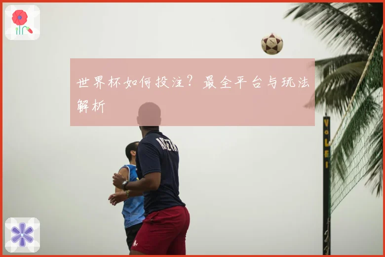 世界杯如何投注？最全平台与玩法解析