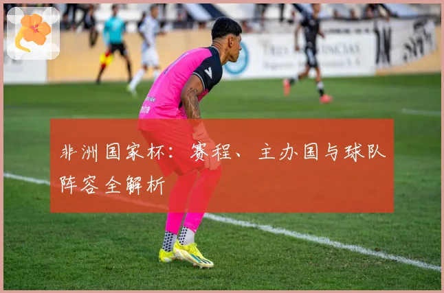 非洲国家杯:赛程、主办国与球队阵容全解析