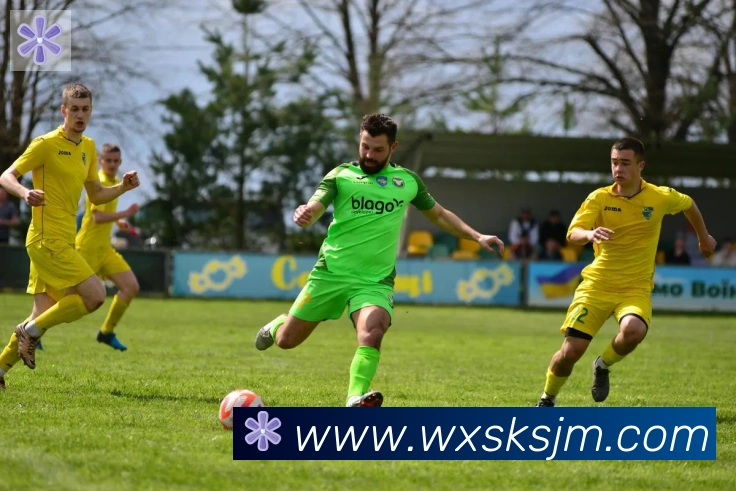 华体网页版页面登录发展历程