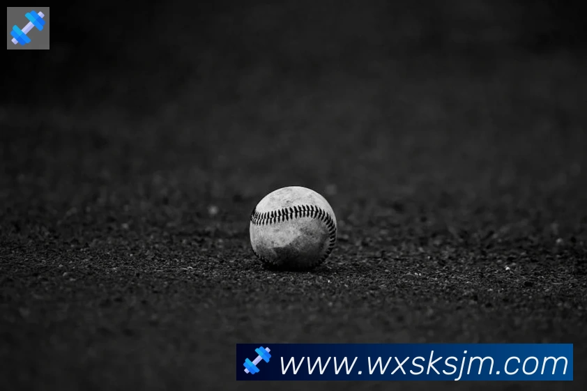 华体网页版页面登录荣誉