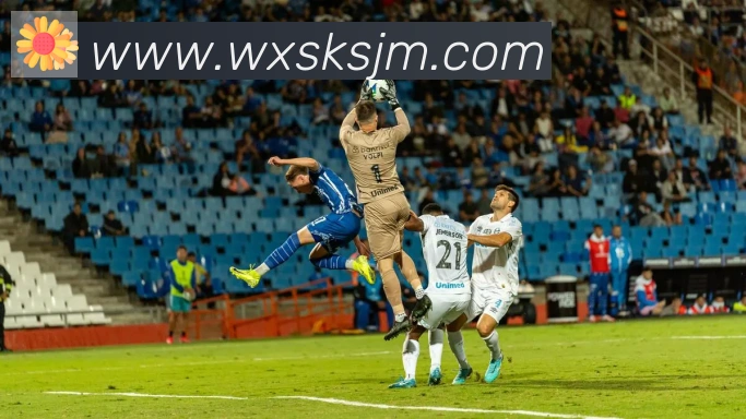 华体网页版页面登录荣誉